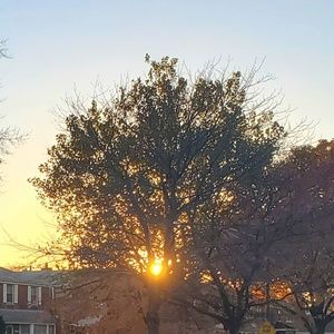 Meet your Posher, Sterna